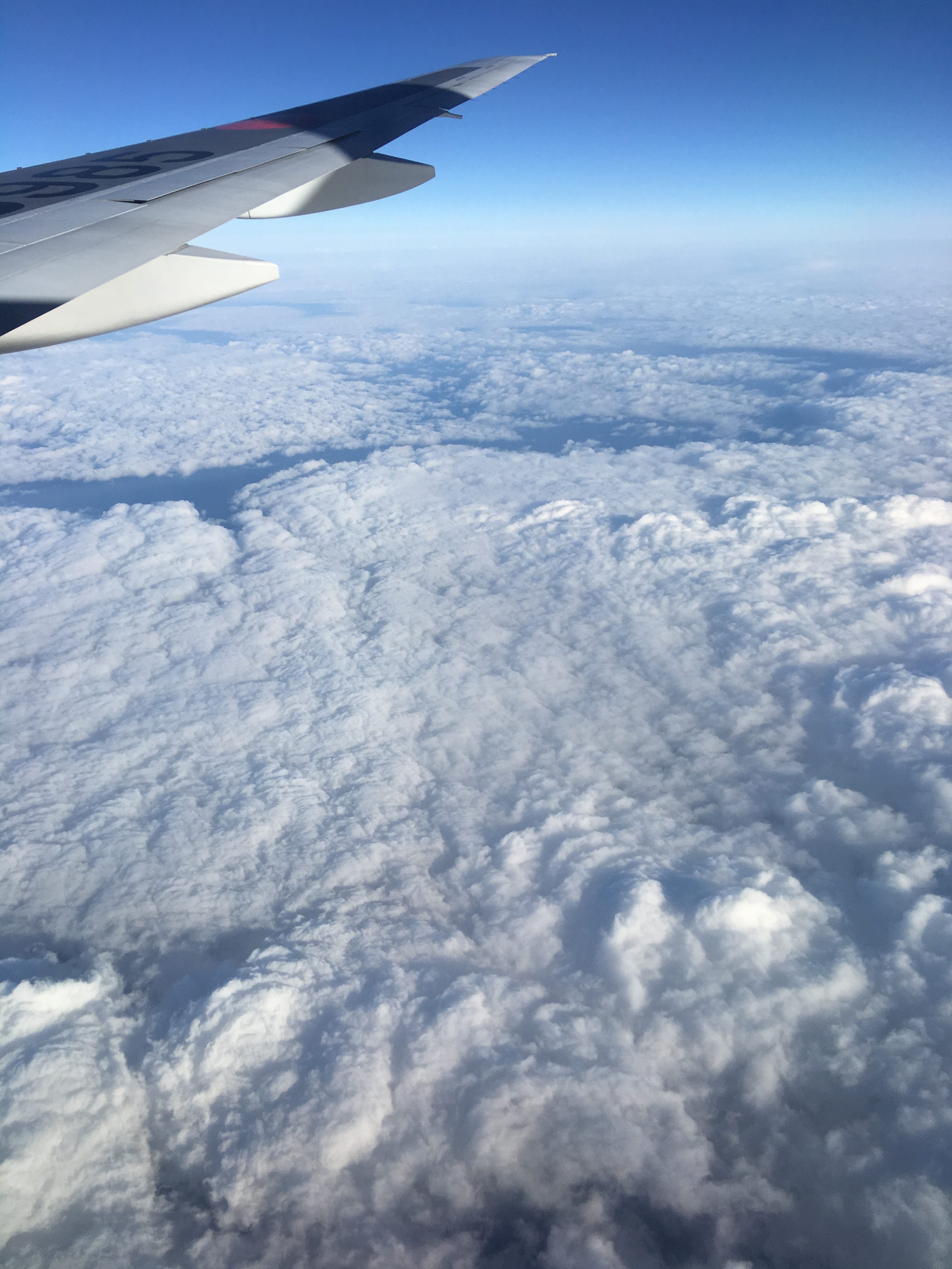 仙川の美容室 春の空